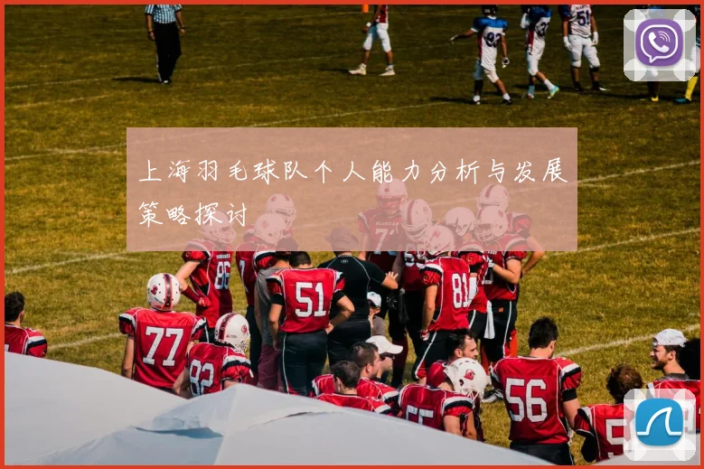 上海羽毛球队个人能力分析与发展策略探讨