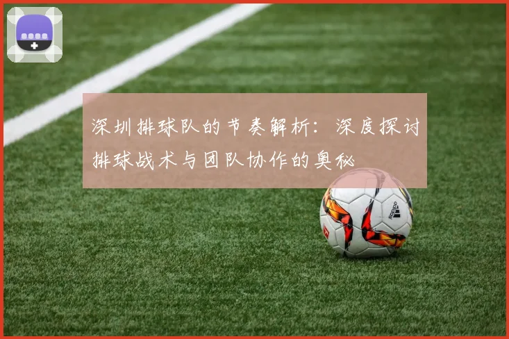 深圳排球队的节奏解析：深度探讨排球战术与团队协作的奥秘